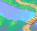 1 - Forest
