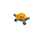 Shore Turtle