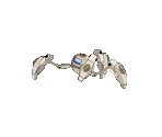 Nektann