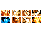 Character Select