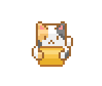Calico Cat