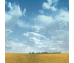 Croft