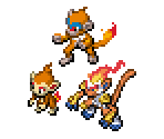 Chimchar, Monferno & Infernape