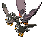 Starly, Staravia & Staraptor