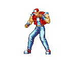 Terry Bogard