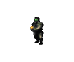 Ninja