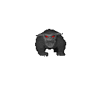 Zuul