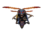 Omen Wasp