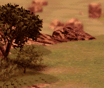 Mt. Panorama Plains (Evening)