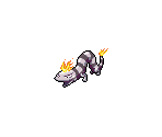 Salamander