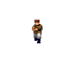 Docking Bay Officer