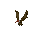 Vulture