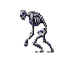 Ape Skeleton