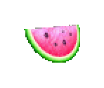 Watermelon Slice