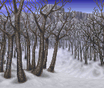 White Birch Forest (Battle Backdrop)