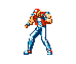 Terry Bogard