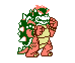 Koopa / Bowser