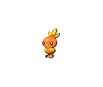 #255 Torchic (female)