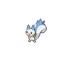 #417 Pachirisu (female)