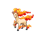 #078 Rapidash