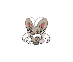 #573 Cinccino