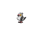 #519 Pidove