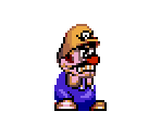 Wario