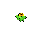 #188 Skiploom