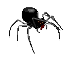 Giant Spider