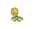 #192 Sunflora