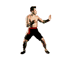 Johnny Cage