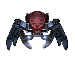 Arachnotron