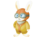 Teacher Hare