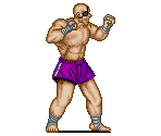 Sagat