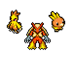 Torchic, Combusken & Blaziken