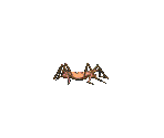 Face Hugger