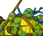 Turtles Portraits