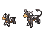 Houndour & Houndoom