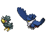 Murkrow & Honchkrow