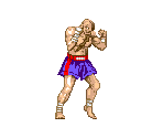 Sagat