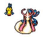 Feebas & Milotic