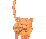 D'Arby's Cat