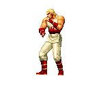 Andy Bogard