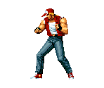 Terry Bogard