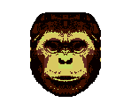 Chimpanzee