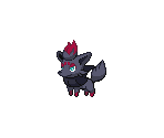 #570 Zorua