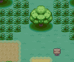 Viridian Forest