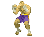 Sagat