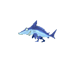 Shark