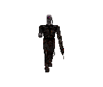 Borg Drone
